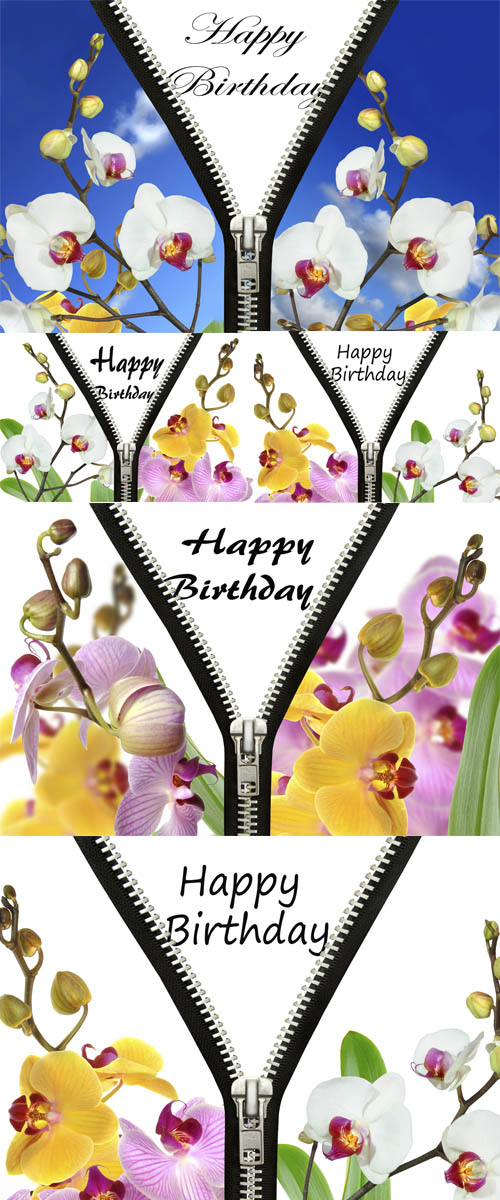 Stock Photo: Original birthday greetings with orchids Stock Photo: Original birthday greetings with orchids