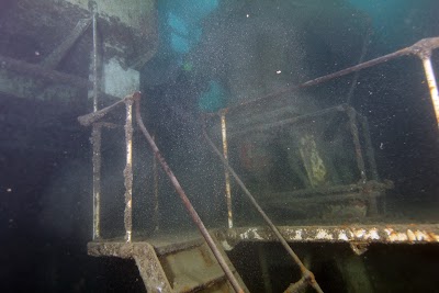 Photos of Double Action Dive Charters