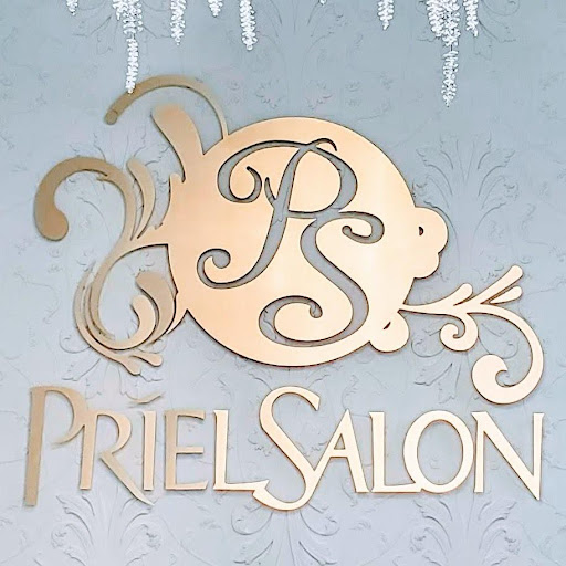 Priel Salon logo