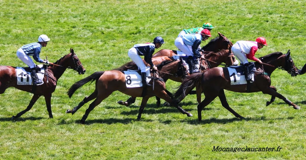 Photos Auteuil le 21-06-2014 IMG_2275