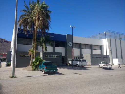 Gimnasio Municipal, VI o Jesús Siqueiros, La Cantera, 85400 Heroica Guaymas, Son., México, Gimnasio | SON