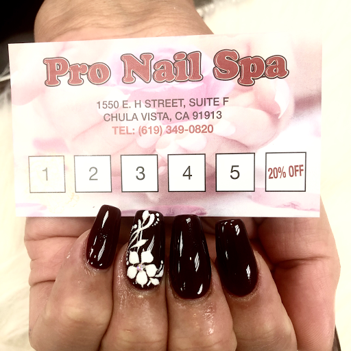 Pro Nail Spa logo