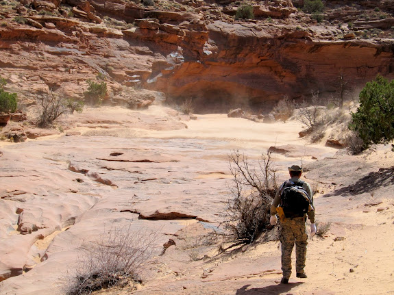 Windy conditions in Spur Fork