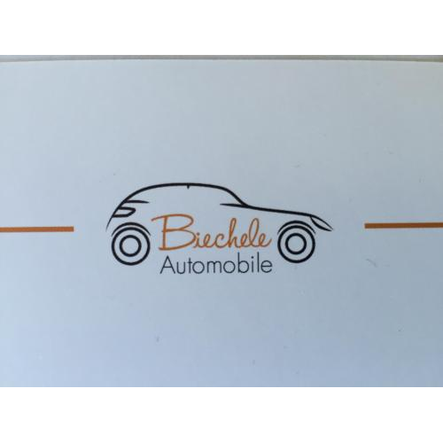Biechele Automobile GmbH & Co. KG logo