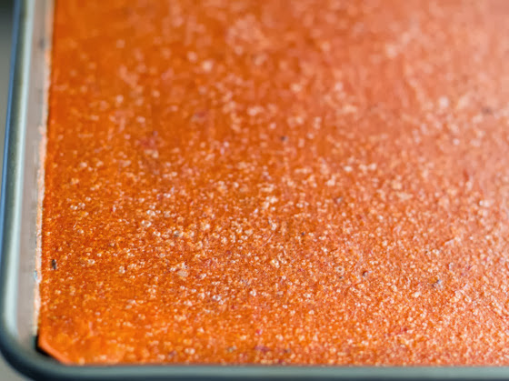 photo of a sheet of fruit leather