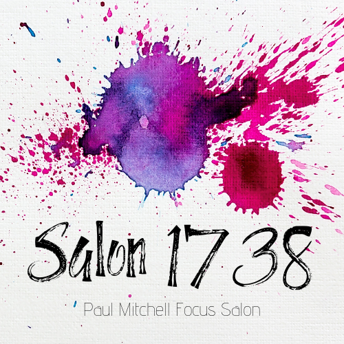 Salon 1738 logo