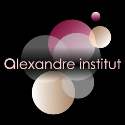 ALEXANDRE INSTITUT LE MANS logo
