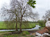 River Waveney at Bath Hills Farm