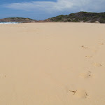 Bournda Beach (106642)