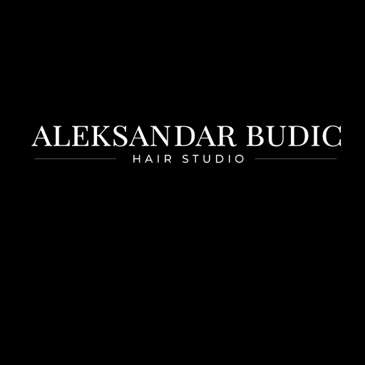 Aleksandar Budic Hair Studio logo