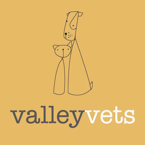 Valley Vets, Caerphilly logo