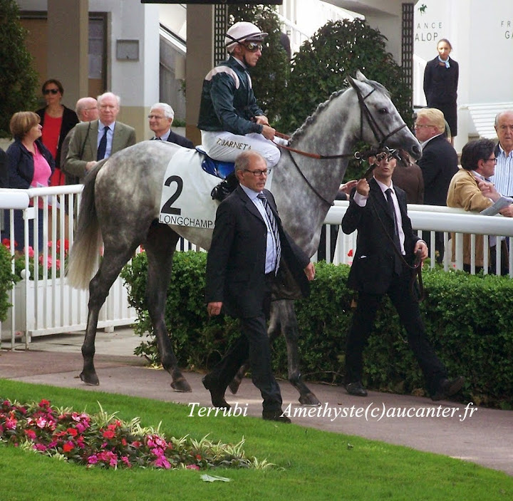 Photos Longchamp 25-05-2014 100_0127