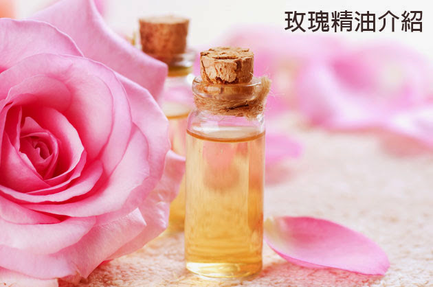 玫瑰精油::世界上最昂貴的精油，適宜女性保健的芳香精油~