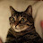 Chauncy Baker avatar image