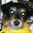 Kerri Jones avatar image