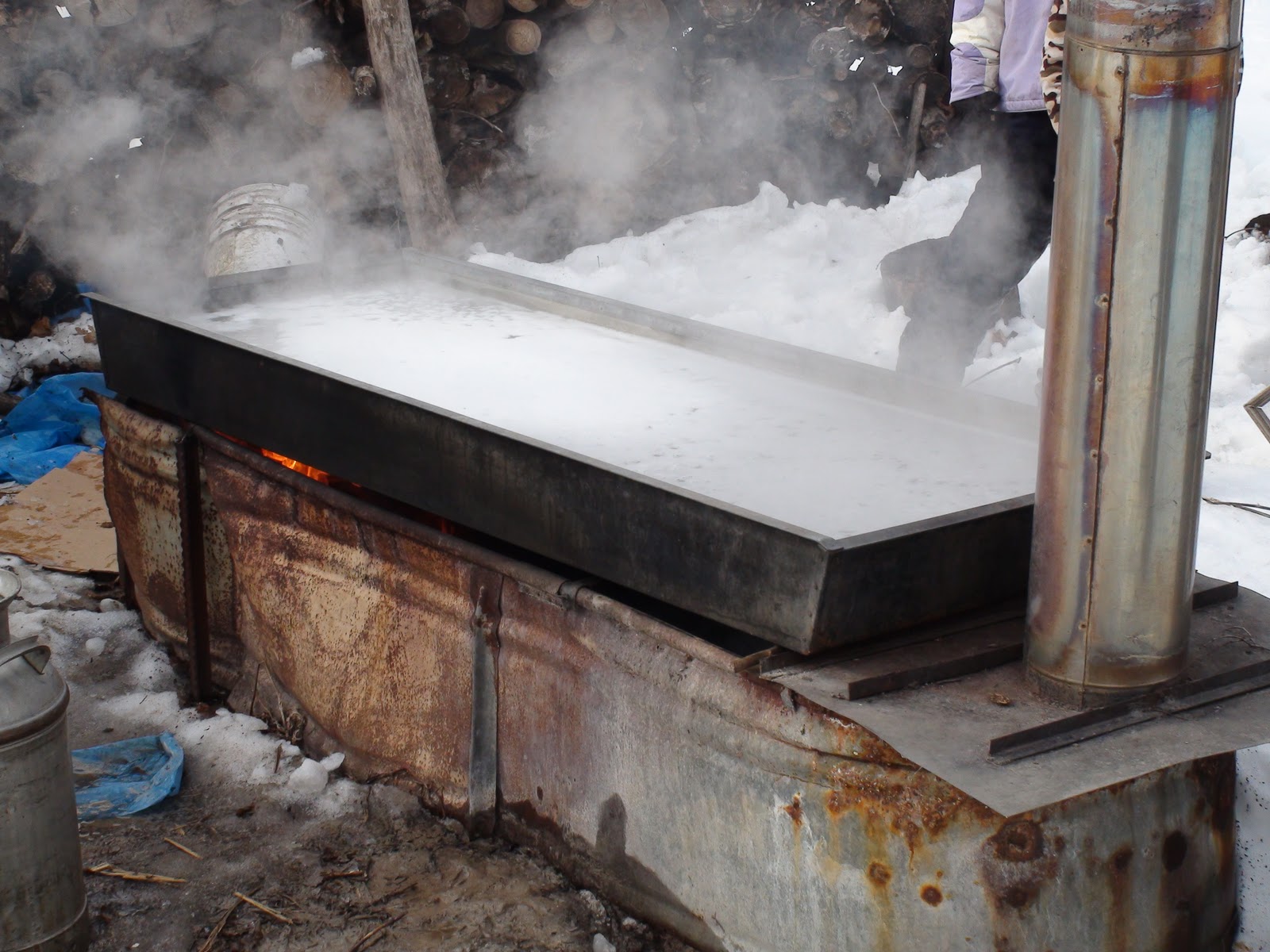 Makin' Maple in Minnesota. Boiling the sap