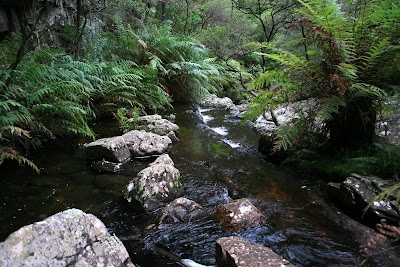 Photos of Kanangra-Boyd National Park