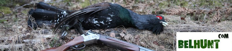 Hunting in Belarus