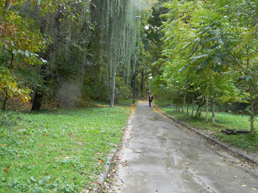 Парк Нивки 
