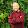 Conrad Frankowski Conrad Frankowski's profile photo