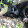 Nik Coughlin Nik Coughlin's profile photo