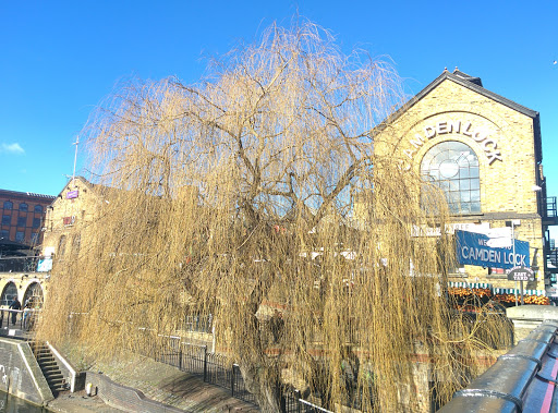 Stables Market