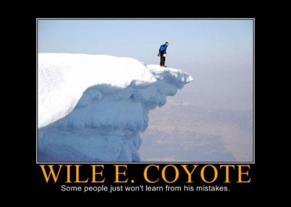 motivational-wile-e-coyote-some-people-just-won-t-learn-from-his-mistakes.jpg
