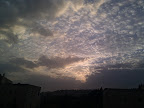 IMG_20121117_161823.jpg