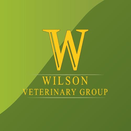 Wilson Veterinary Group, Newton Aycliffe logo