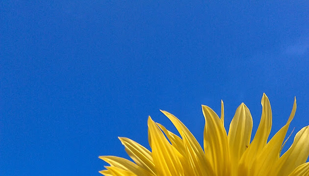 Cover photo