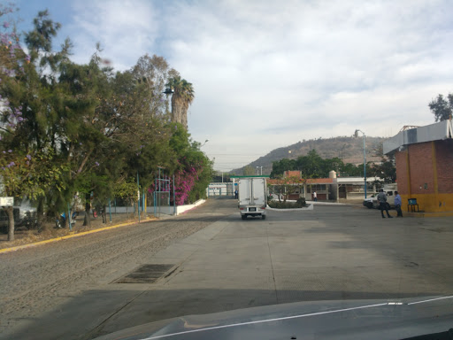 Rastro Municipal de León, Carretera León San Francisco Km. 6.5, Campo Verde, 37434 León, Gto., México, Mayorista de carnes | GTO