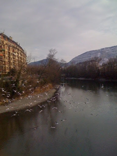 The Arve at the edge of Geneva, overlooking the Saleve