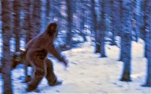 Bigfoot Files Yeti The Search For Answers