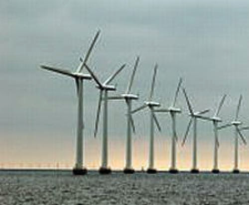 Offshore Wind Development Good Or Bad For Marine Wildlife