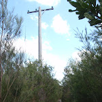 Passing an old telegraph pole (128584)