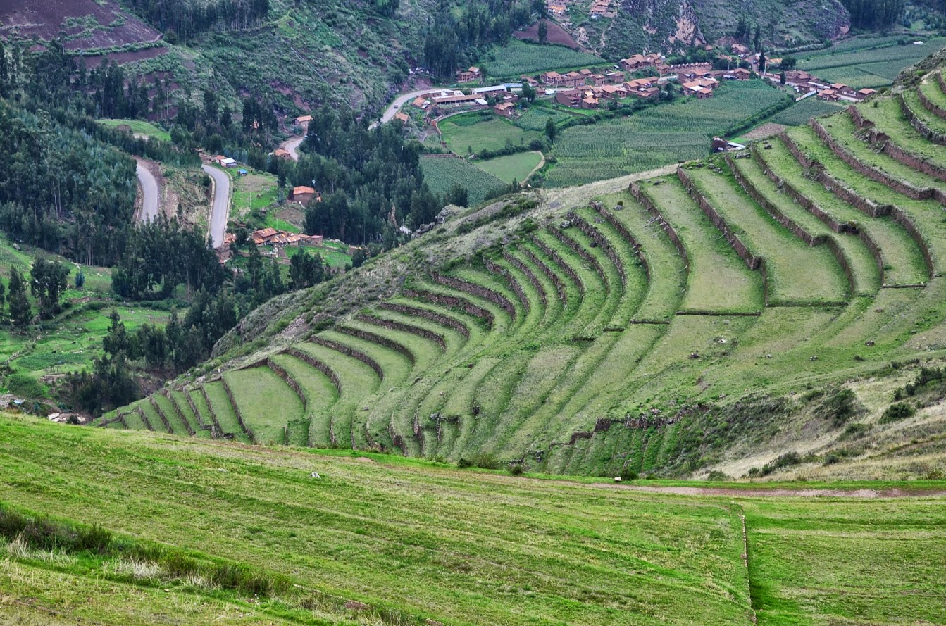 DSC_4016.JPG