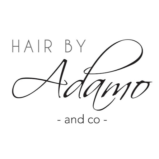 Hair by Adamo & Co.