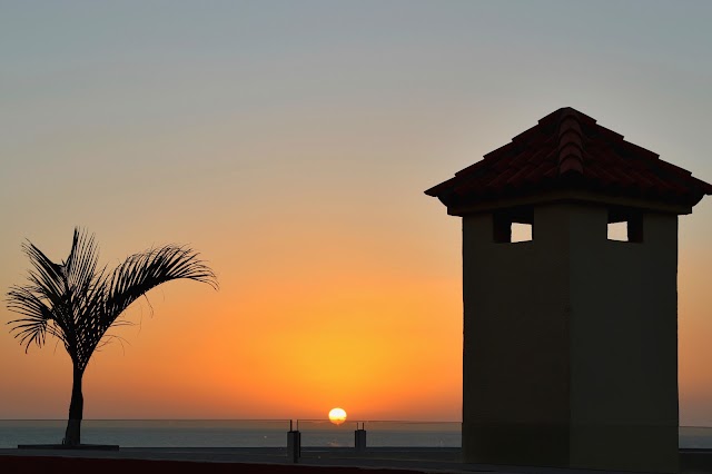 Jardin Caleta