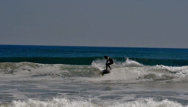 Cover photo