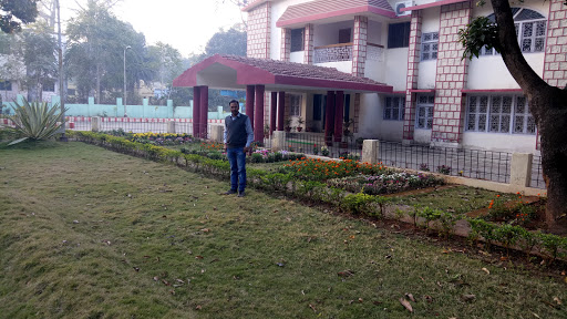 Latehar Forest Division, Three Palms View, Ashiana-Digha Road, Rukanpura, Patna, 800014, India, Park_and_Garden, state JH