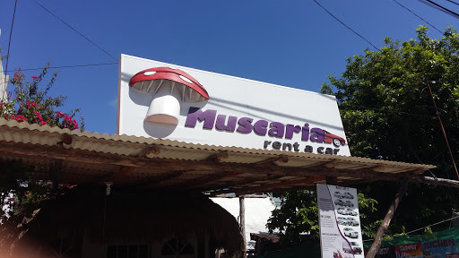 MUSCARIA RENT A CAR, 10 Avenida Nte., Centro, 77710 Playa del Carmen, Q.R., México, Servicio de arrendamiento de automóviles | QROO