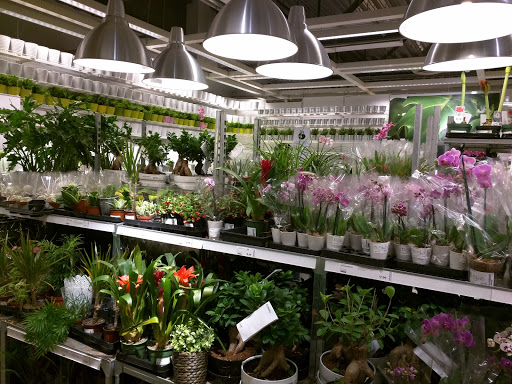 IKEA East Palo Alto