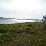 Green Point on Lake Macquarie (389714)