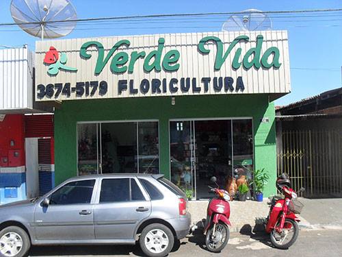 Verde Vida Floricultura, Av. 15 de Novembro, 561 - S Central, Iporá - GO, 76200-000, Brasil, Lojas_Floriculturas, estado Goias