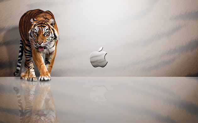 Cover photo