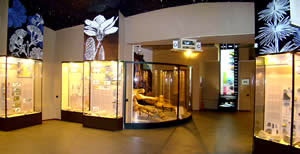 экспозиция музея