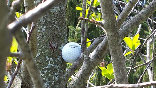 Golf Club «Golden Pheasant Golf Club», reviews and photos, 141 Country Club Dr, Lumberton, NJ 08048, USA
