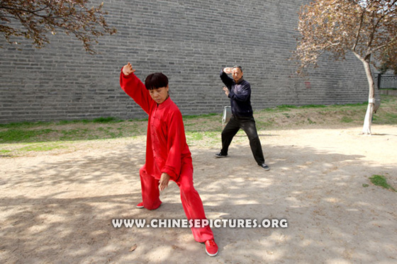 58-year Tai Chi Quan Practitioner Photo 1
