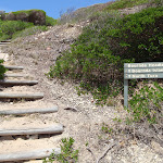 Track off Bournda Beach southern end (106624)