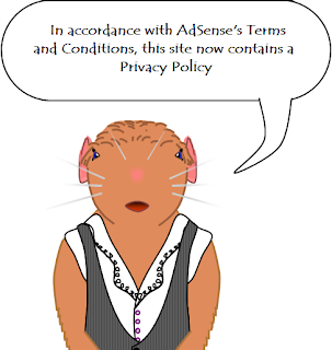 Jane says, "In accordance with AdSense's Terms and Conditions, this site now contains a Privacy Policy."